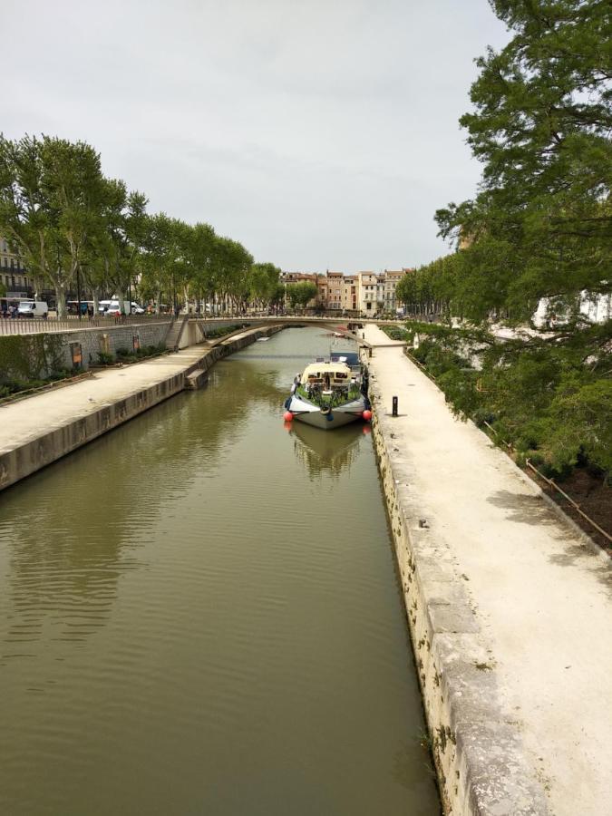 Narbonne Centre Ville Historique Studio Eksteriør billede